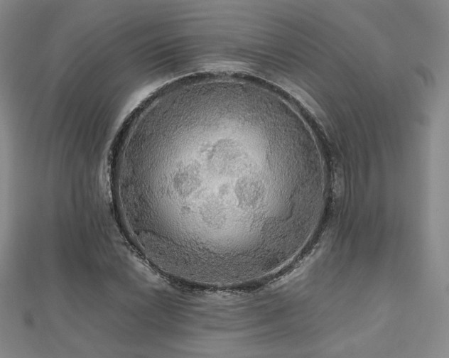 X0000112471022200908171154