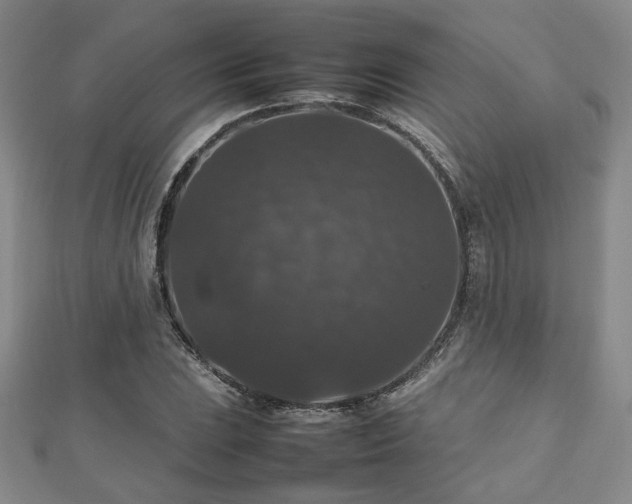 X0000112471023200908171154