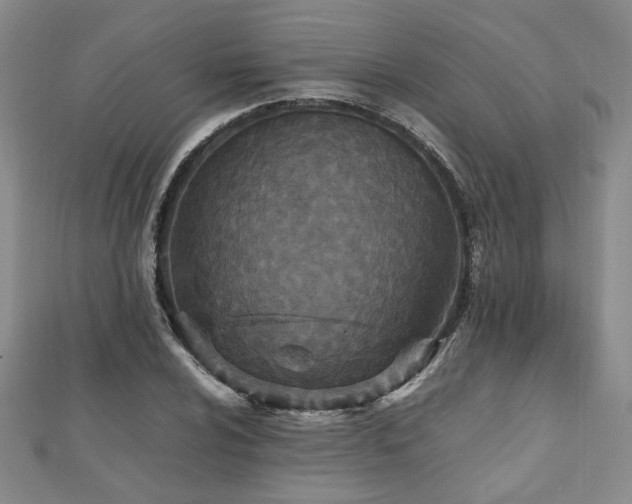 X0000112471024200908171154