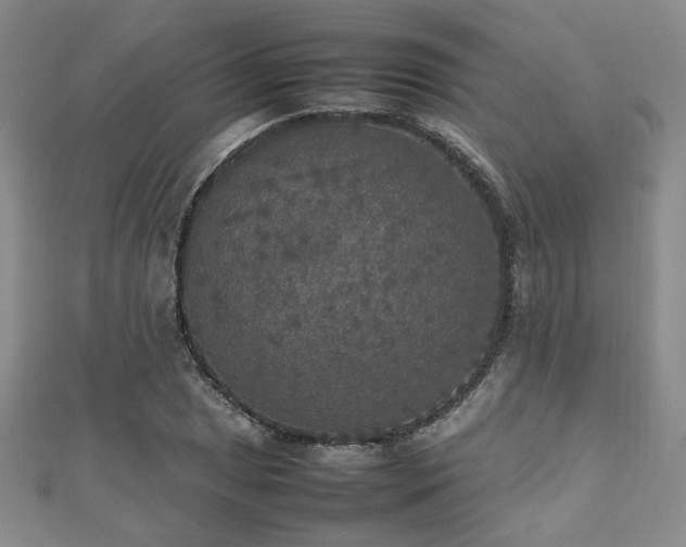 X0000112471025200908171154