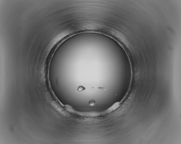 X0000112471026200908171154