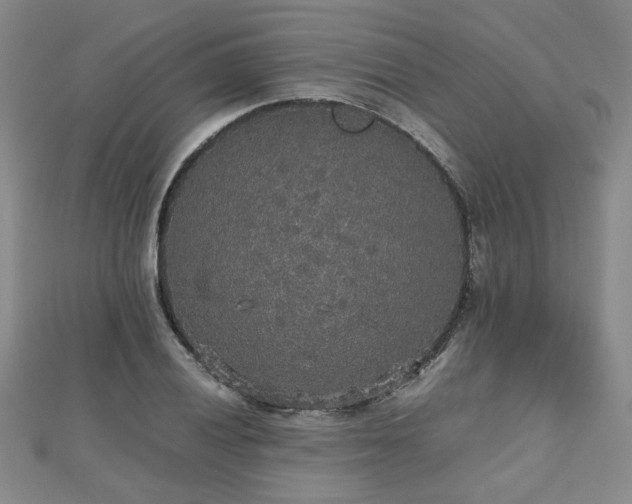 X0000112471028200908171154