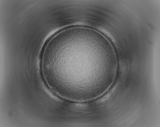 X0000112471029200908171154