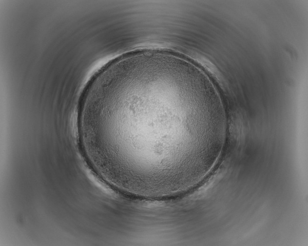 X0000112471030200908171154