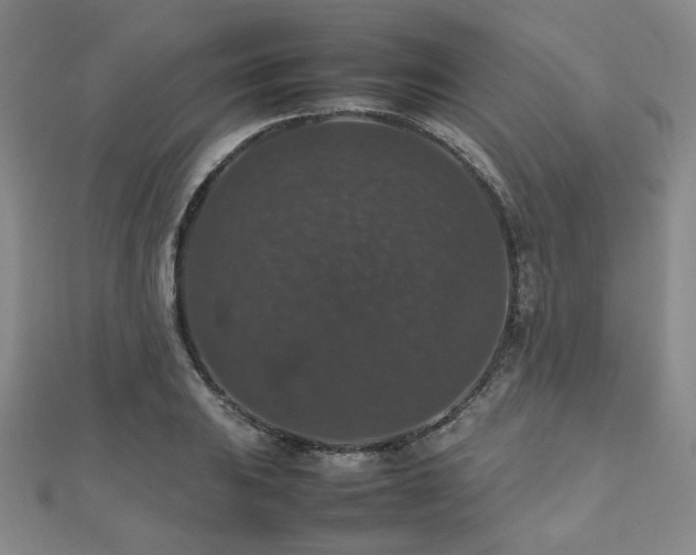 X0000112471031200908171154