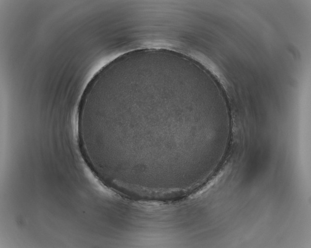 X0000112471032200908171154