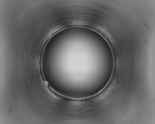 X0000112471033200908171154