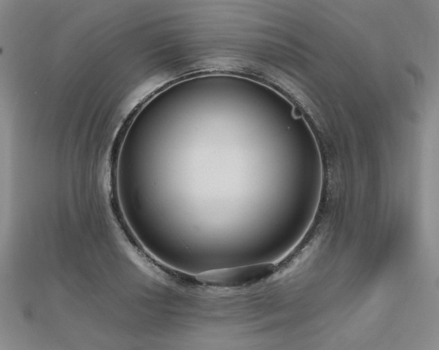 X0000112471034200908171154