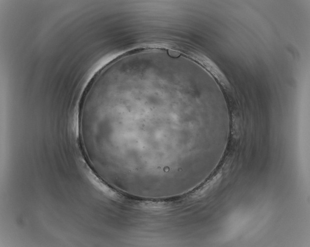 X0000112471036200908171154