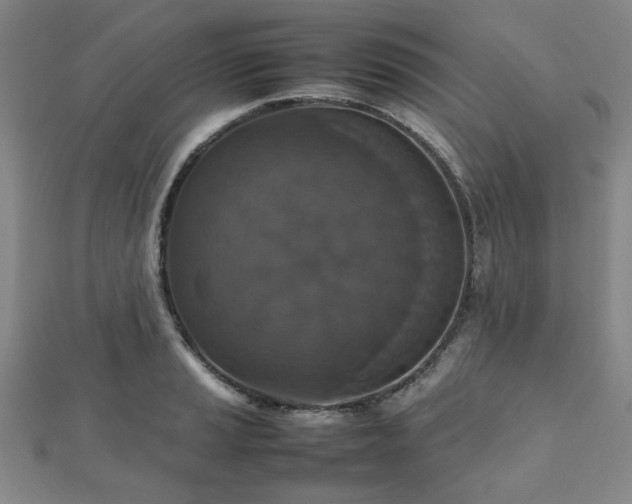 X0000112471037200908171154