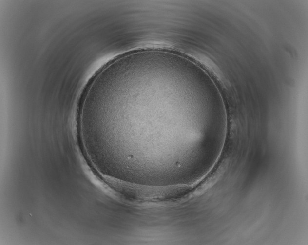 X0000112471038200908171154