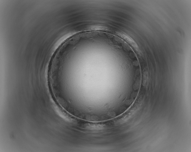 X0000112471039200908171154