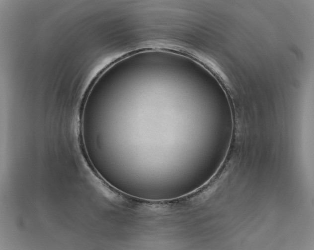 X0000112471040200908171154