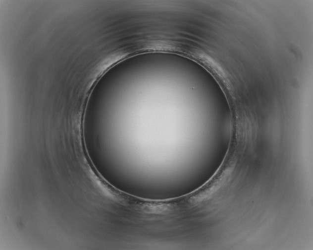 X0000112471041200908171154