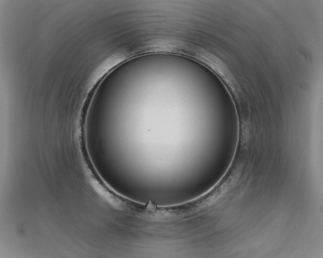 X0000112471042200908171154