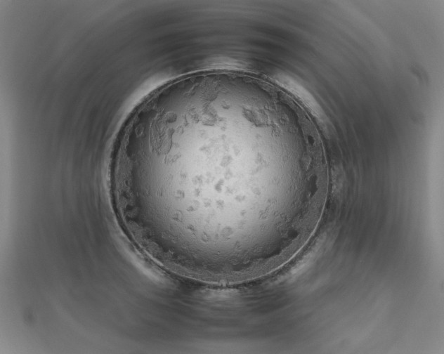 X0000112471043200908171154