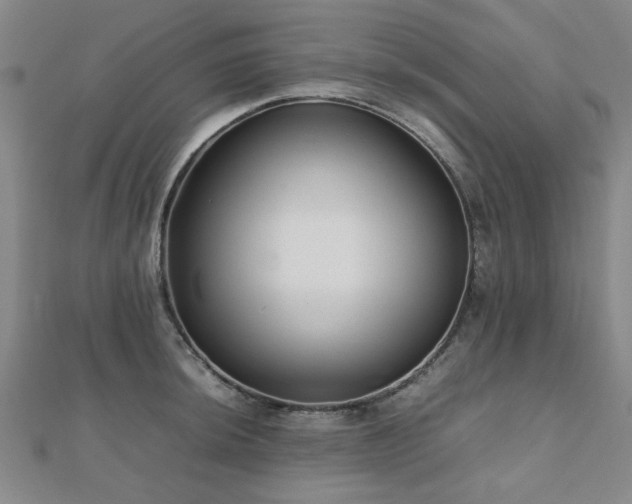 X0000112471044200908171154