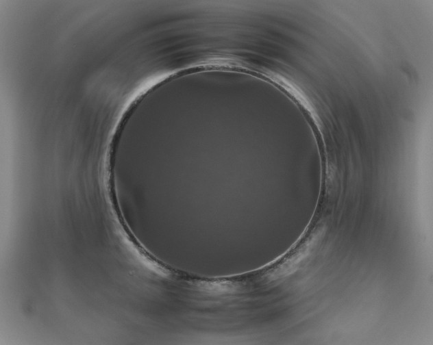 X0000112471045200908171154