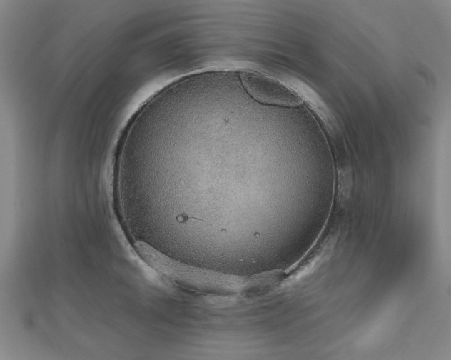 X0000112471046200908171154