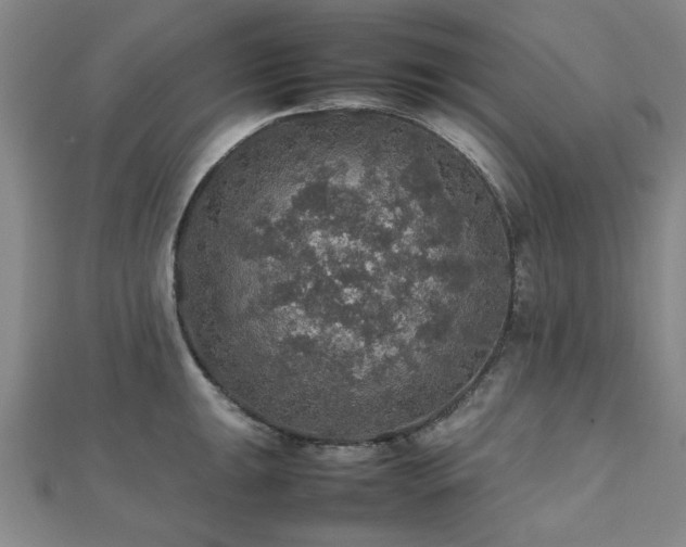 X0000112471047200908171154