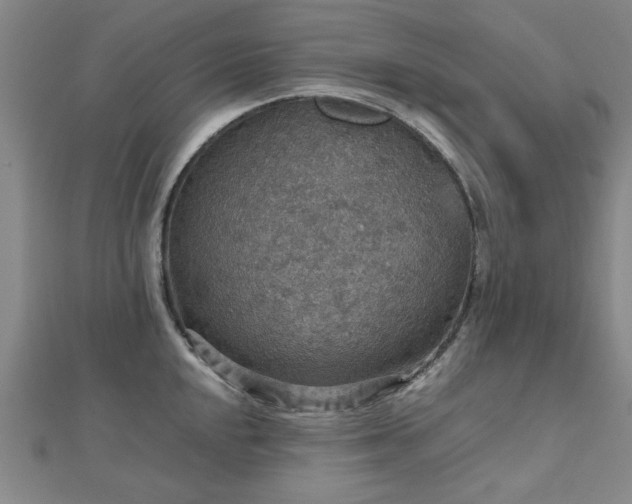 X0000112471048200908171154