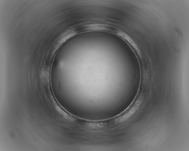 X0000112471049200908171154