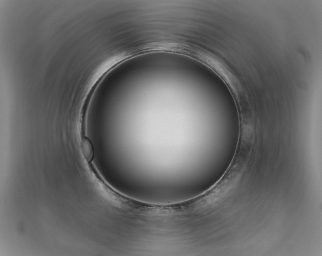 X0000112471050200908171154