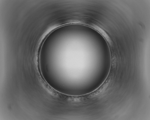 X0000112471051200908171154