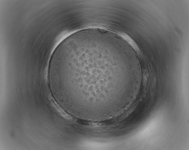 X0000112471052200908171154