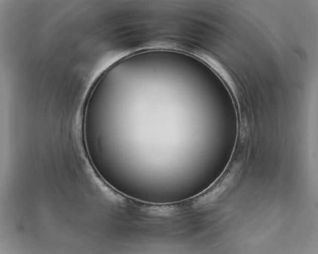 X0000112471053200908171154