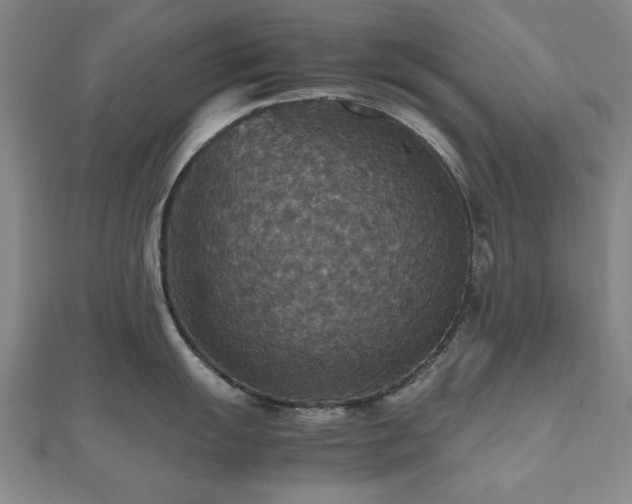 X0000112471055200908171154