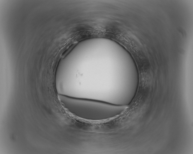 X0000112471057200908171154