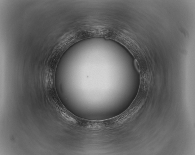 X0000112471058200908171153