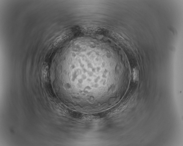 X0000112471059200908171153