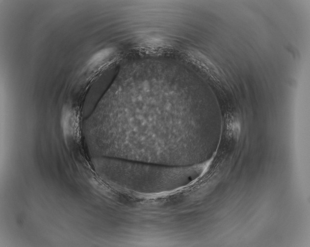 X0000112471060200908171153