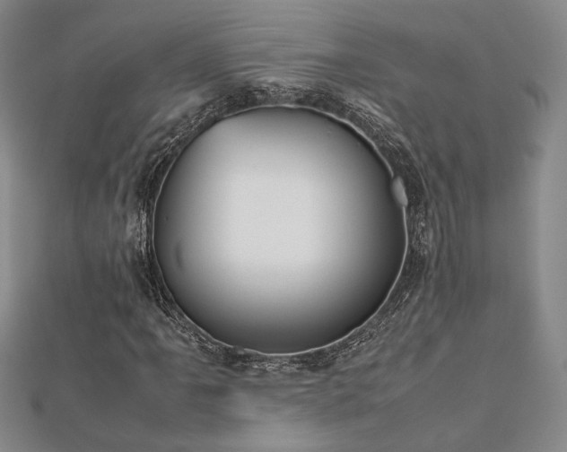 X0000112471061200908171153