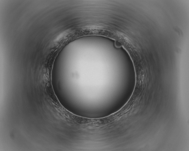 X0000112471062200908171153