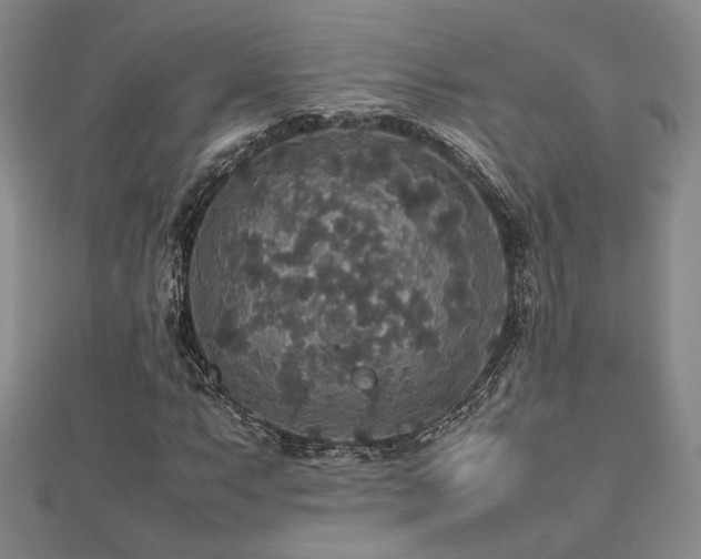 X0000112471063200908171153