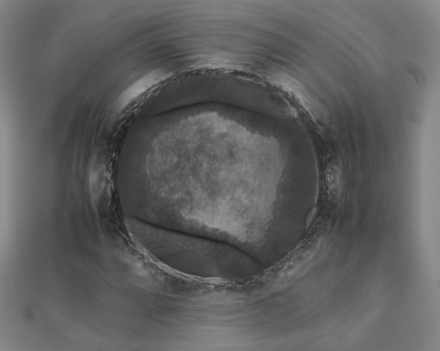 X0000112471064200908171153