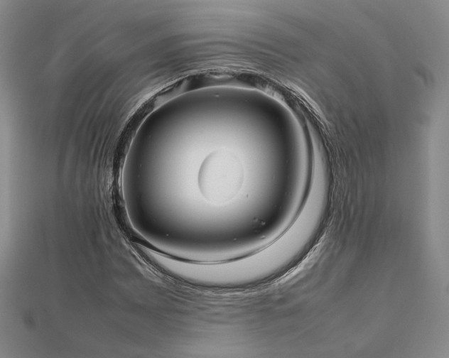 X0000112471065200908171153