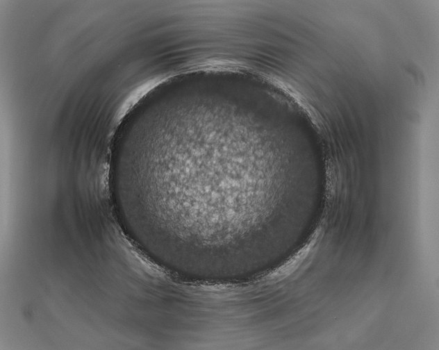 X0000112471066200908171153