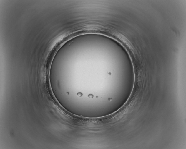 X0000112471067200908171153