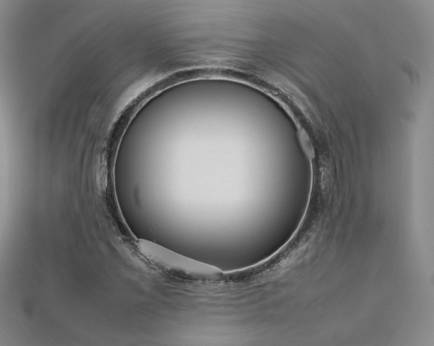 X0000112471069200908171153