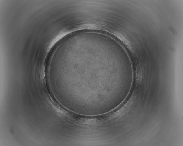 X0000112471070200908171153