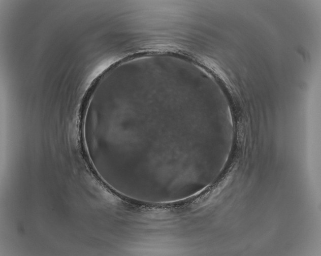 X0000112471071200908171153