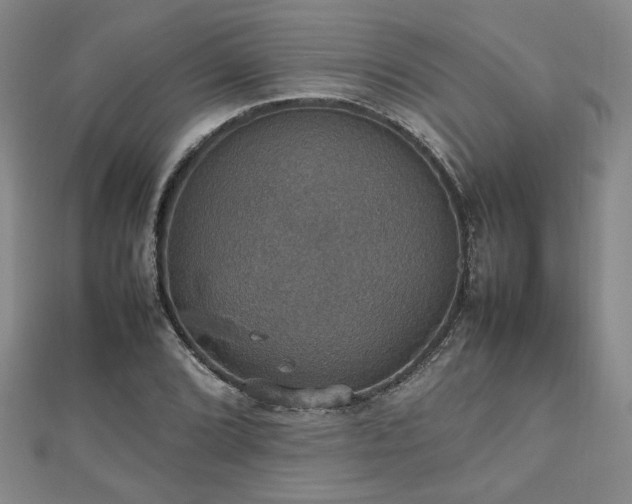 X0000112471072200908171153