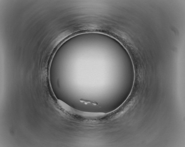 X0000112471073200908171153