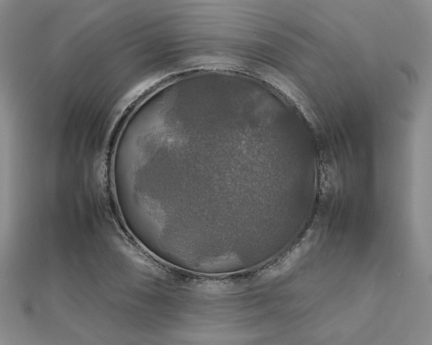 X0000112471074200908171153