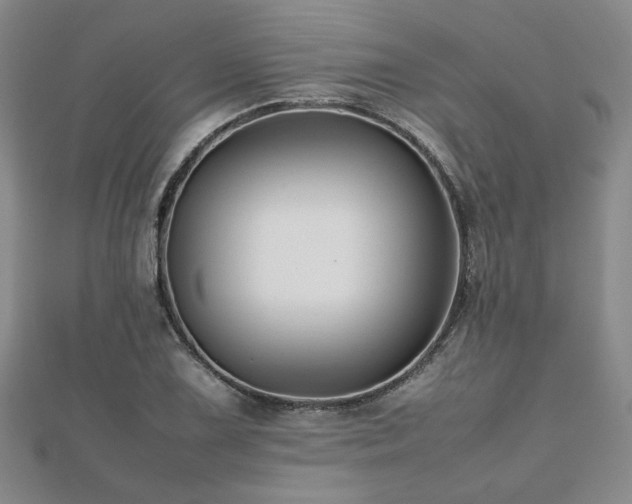 X0000112471075200908171153