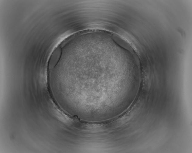 X0000112471076200908171153